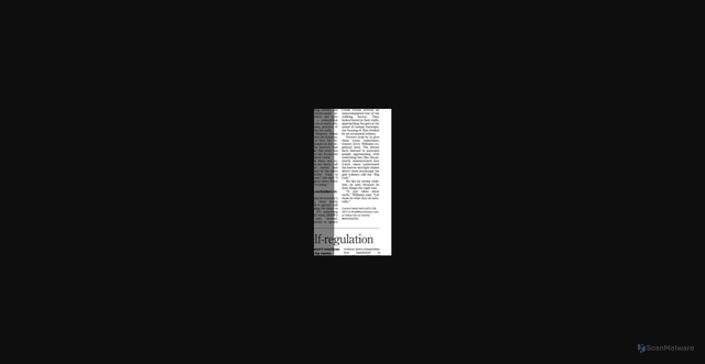 Security scan screenshot of https://img.newspapers.com/img/thumbnail/105240369/400/400/2600_1800_1300_1800.jpg