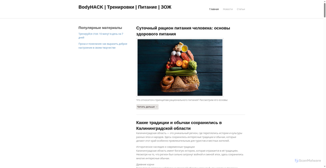 Security scan screenshot of https://4bodyhack.ru