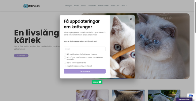 Security scan screenshot of https://brittisktkorthar.se