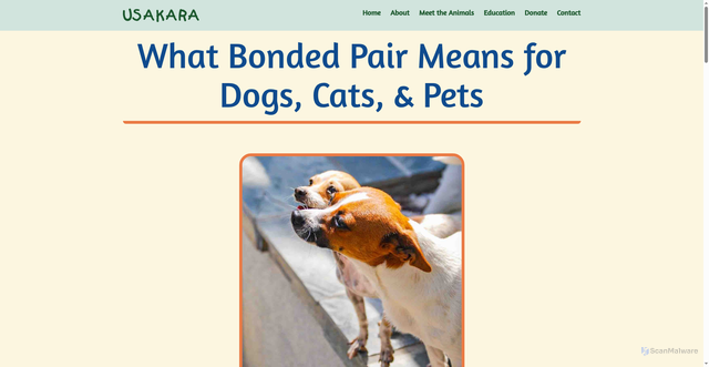 Security scan screenshot of https://usakara.org/what-does-bonded-pair-mean-for-dogs-cats-and-other-animals/