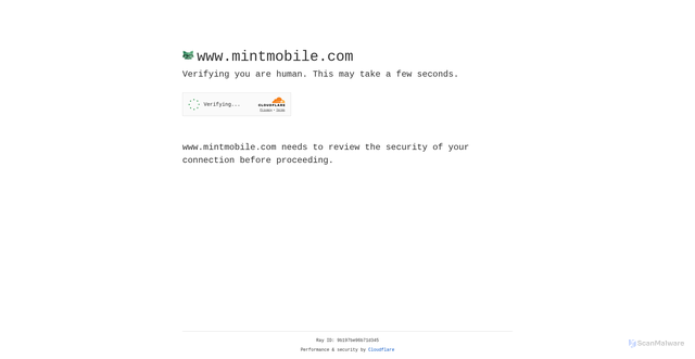 Security scan screenshot of https://www.mintmobile.com