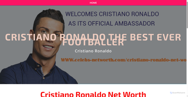 Security scan screenshot of https://cristianoronaldonetworth.yolasite.com/
