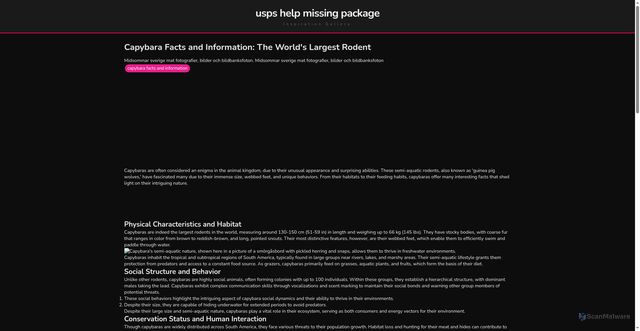 Security scan screenshot of https://pikselharianstories-dpww1gjvh6sm.edgeone.app/capybara-facts-and-information.html