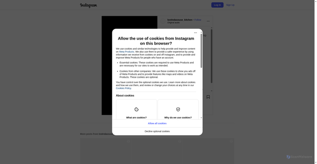 Security scan screenshot of https://www.instagram.com/reel/DPPgkprkj2B/