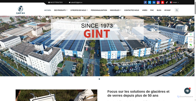 Security scan screenshot of https://gintflask.com