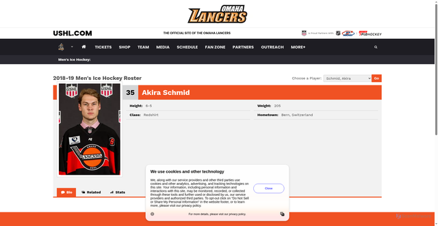 Security scan screenshot of https://lancers.com/sports/mhockey/roster/akira-schmid/230