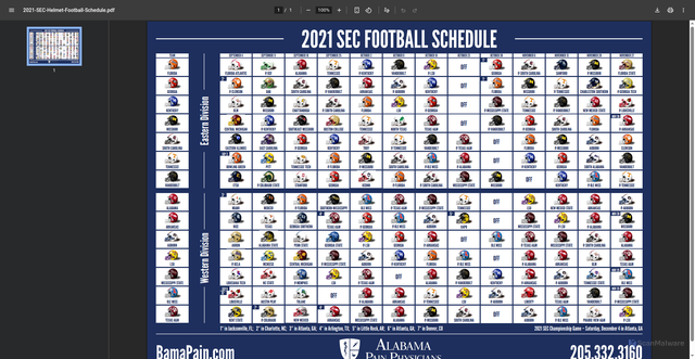 Security scan screenshot of https://bamapain.com/wp-content/uploads/2021-SEC-Helmet-Football-Schedule.pdf