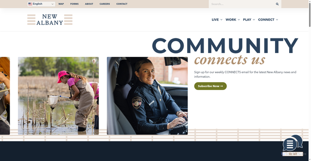 Security scan screenshot of https://newalbanyohio.org/