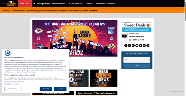 Security scan screenshot of https://www.991thesportsanimal.com/