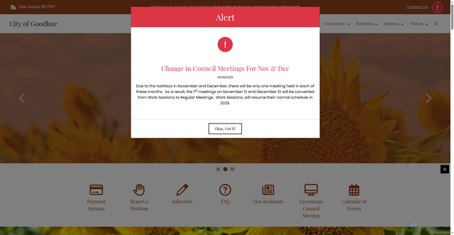 Security scan screenshot of https://cityofgoodhue.gov/