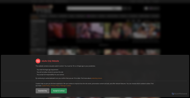 Security scan screenshot of https://ashemaletube3.com