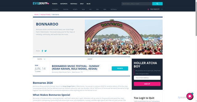 Security scan screenshot of https://www.eviltickets.com/festivals/bonnaroo