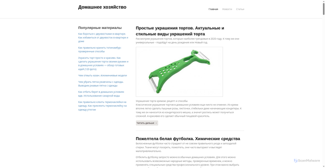 Security scan screenshot of https://domashneekhozyajstvo.ru