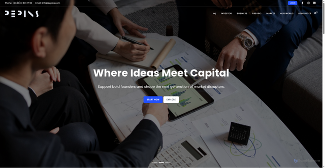Security scan screenshot of https://www.pepins.com/