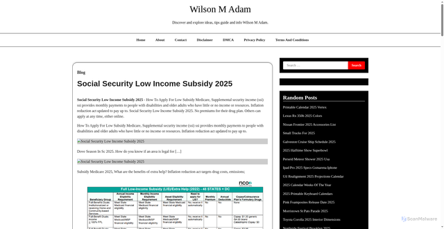 Security scan screenshot of https://wilsonmadam.pages.dev/ptnzo-social-security-low-income-subsidy-2025-mtitd/