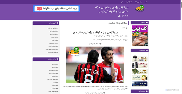 Security scan screenshot of https://pichak.net/biography/pejman-jamshidi/