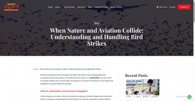 Security scan screenshot of https://aerodynamiks.aero/when-nature-and-aviation-collide-understanding-and-handling-bird-strikes/