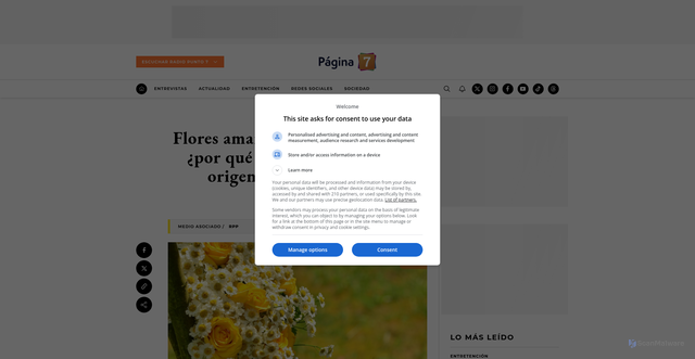 Security scan screenshot of https://www.pagina7.cl/sociedad/flores-amarillas-del-21-de-marzo-por-que-se-regalan-cual-es-el-origen-y-su-significado/