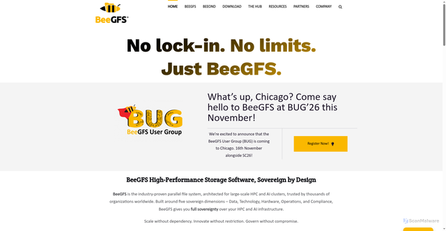 Security scan screenshot of https://www.beegfs.io