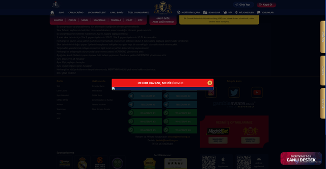 Security scan screenshot of https://metitking2006.com/scorerules