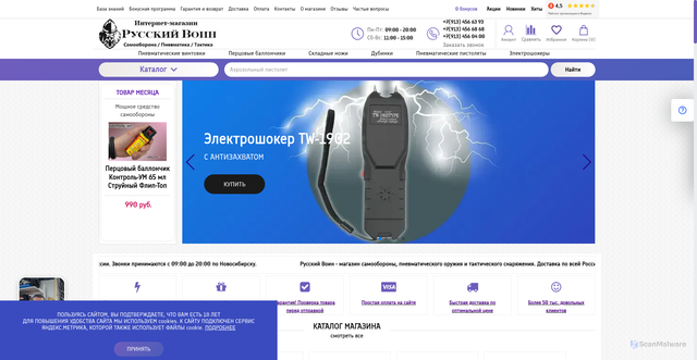 Security scan screenshot of https://russvoin.ru