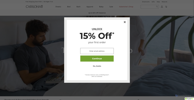 Security scan screenshot of https://cariloha.com