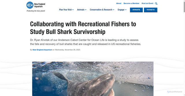 Security scan screenshot of https://www.neaq.org/collaborating-with-recreational-fishers-to-study-bull-shark-survivorship/