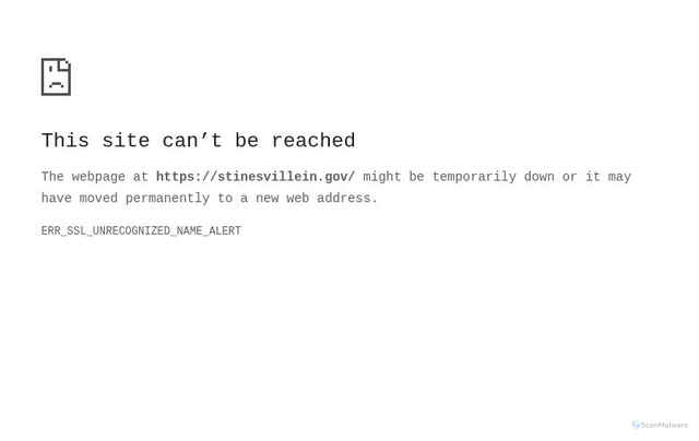 Security scan screenshot of http://stinesvillein.gov/