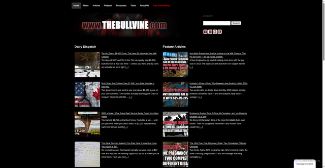 Security scan screenshot of https://thebullvine.com