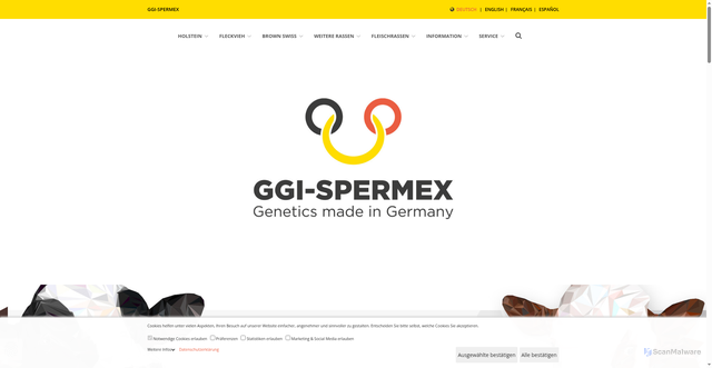 Security scan screenshot of https://www.ggi-spermex.de