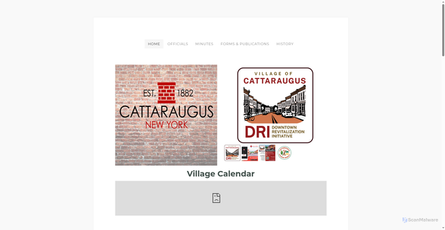 Security scan screenshot of https://www.villageofcattaraugus.gov/