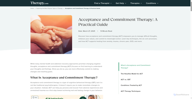Security scan screenshot of https://therapy.com/medications/duloxetine/