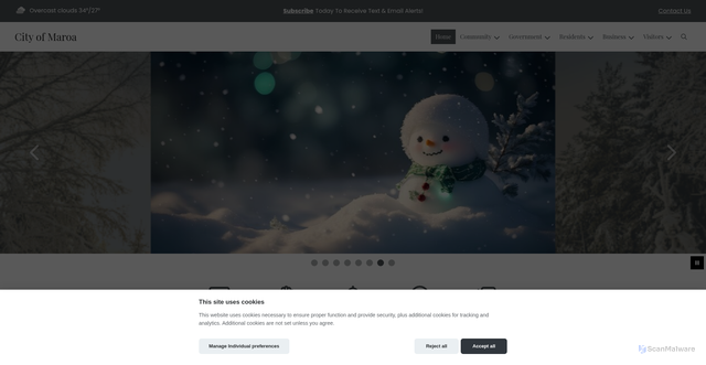 Security scan screenshot of https://maroaillinois.gov/