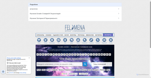 Security scan screenshot of https://felomena.com