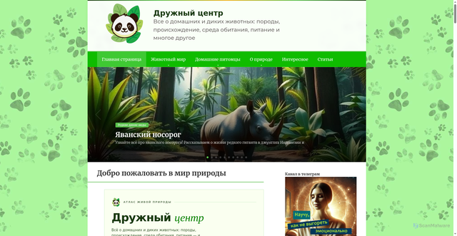 Security scan screenshot of https://druzhniy-center.ru