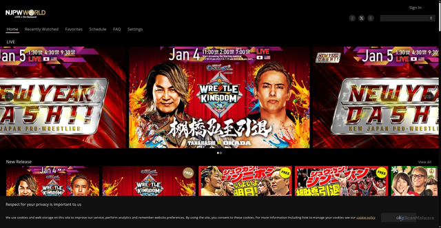 Security scan screenshot of https://watch.njpwworld.com/