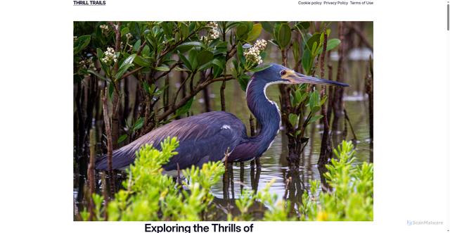 Security scan screenshot of https://liviaalessandrini.com/cid-82042-eid-6404728