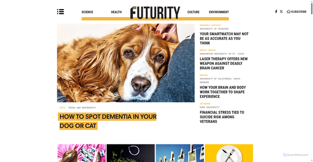 Security scan screenshot of https://futurity.org