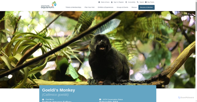 Security scan screenshot of https://www.vanaqua.org/explore/animals/goeldis-monkey/