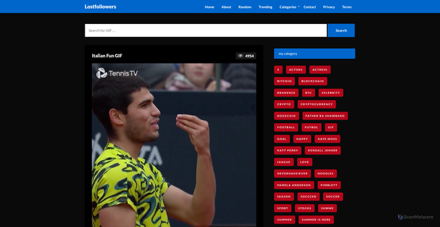 Security scan screenshot of https://infinitecraftonline.com/italian-fun-gif/