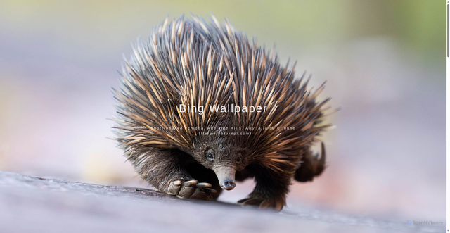 Security scan screenshot of https://bing-wallpaper-37gc5jd18a.edgeone.dev/