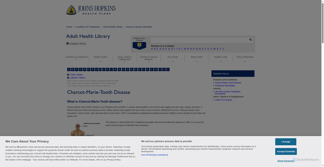 Security scan screenshot of https://johnshopkinshealthcare.staywellsolutionsonline.com/Library/DiseasesConditions/Adult/NervousSystem/134,224