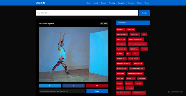 Security scan screenshot of https://cocinadetodos.com/tara-stiles-nyc-gif/