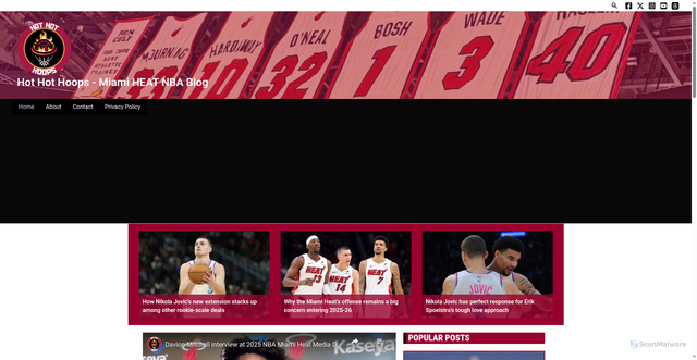 Security scan screenshot of https://hothothoops.com/