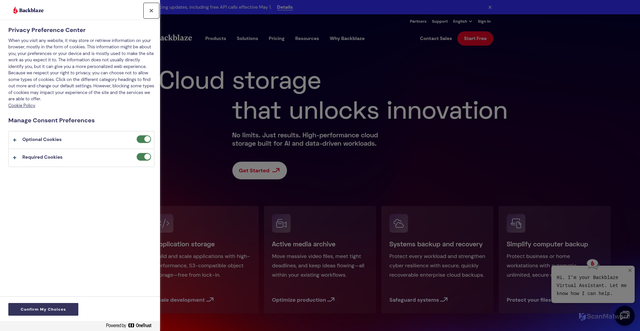Security scan screenshot of https://pod-040-2029-16.backblaze.com