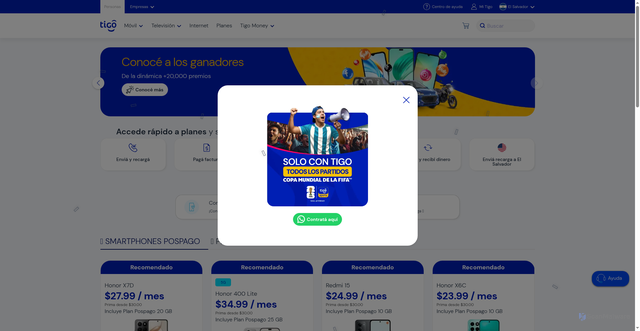 Security scan screenshot of http://tigosrtvp.help/