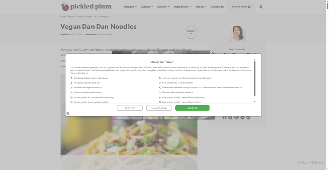 Security scan screenshot of https://pickledplum.com/vegan-dan-dan-noodles/