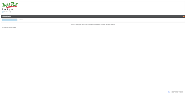 Security scan screenshot of https://treetop.beyondtrustcloud.com