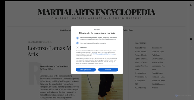 Security scan screenshot of https://www.backkicks.com/lorenzo-lamas-martial-arts/