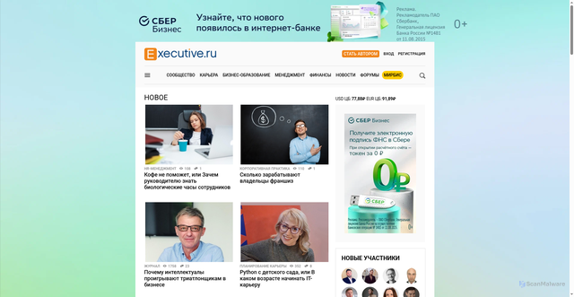 Security scan screenshot of https://www.e-xecutive.ru